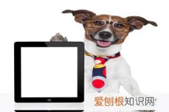 如何宣泄不良情绪 ，如何发泄不良情绪