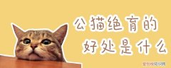 公猫绝育的好处是什么,公猫绝育,猫，公猫绝育的好处是什么?
