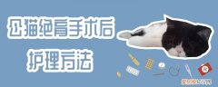 公猫绝育手术后护理方法,公猫绝育，公猫做绝育手术后怎么护理