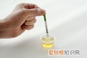 有蚕豆病可以怀孕吗 ，有蚕豆病可以怀孕吗,遗传性高吗