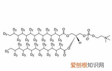 吃什么东西能够补充卵磷脂 吃什么东西补充卵磷脂