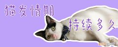 猫发情期持续多久,猫发情,猫，猫发情期持续多久,猫发情,猫发抖