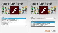 电脑已经安装了软件但是找不到 电脑已经安装了flash,但是还是打不开