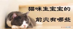 猫咪生宝宝的前兆,猫咪，猫咪生宝宝的前兆,猫咪会难产吗