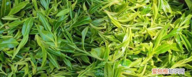 金寨有什么名茶 金寨野茶是什么茶