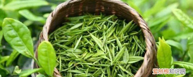 湄潭翠芽功效有哪些? 茶湄潭翠芽的功效与作用