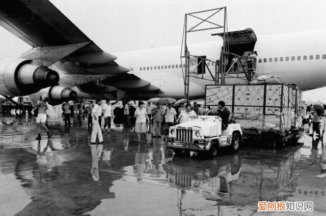 新时代中国调研行·长江篇丨因为珍稀 所以珍惜！长江“吉祥三宝” 你了解多少?