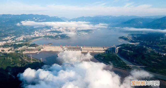 新时代中国调研行·长江篇丨因为珍稀 所以珍惜！长江“吉祥三宝” 你了解多少?