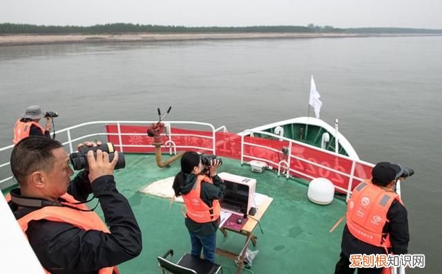 新时代中国调研行·长江篇丨因为珍稀 所以珍惜！长江“吉祥三宝” 你了解多少?