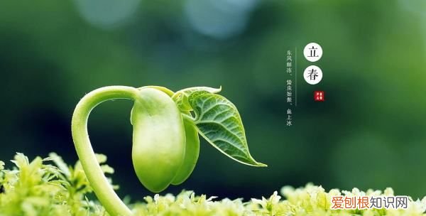 24节气是怎么来的，二十四节气根据什么定出来的