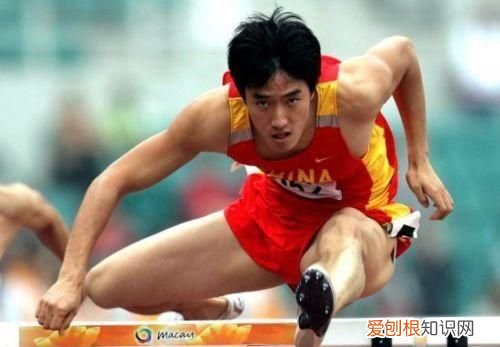 刘翔是中国最伟大的运动员吗英语 刘翔是中国最伟大的运动员吗