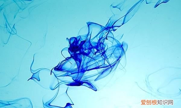 ins怎么读，tp-link中文怎么读