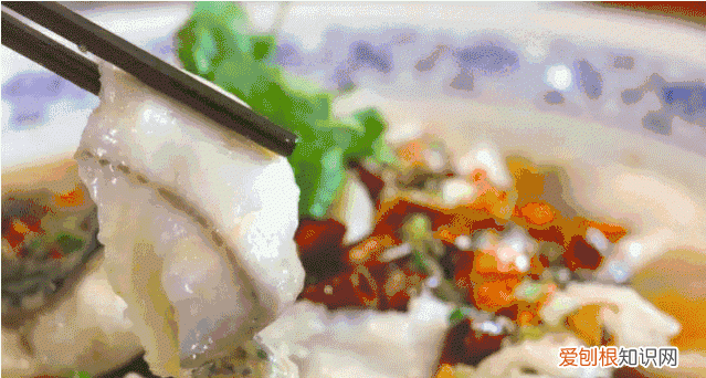 鱼身五处不能食用