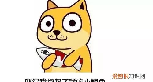 鱼身五处不能食用