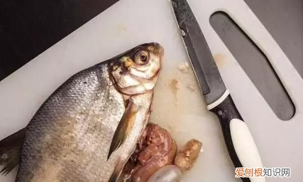 鱼身五处不能食用
