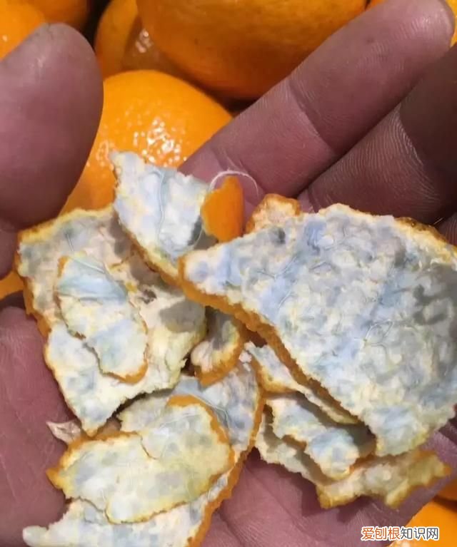 柑橘外皮发霉里面能吃吗?