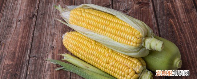 吃吃玉米可以减肥吗 减脂能吃玉米吗