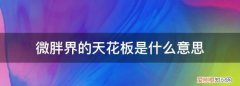 微胖界的扛把子视频 微胖界的扛把子东北