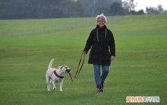 怎么教狗狗打滚，打滚装死伸爪你家狗狗都会吗，怎样训练狗狗打滚