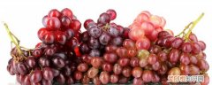 减脂期间能吃葡萄 减脂能吃葡萄吗