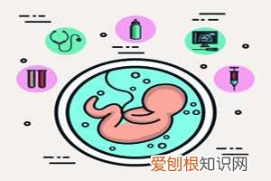 大卵泡怀孕孩子健康吗 ，卵泡大生出的孩子健康吗?