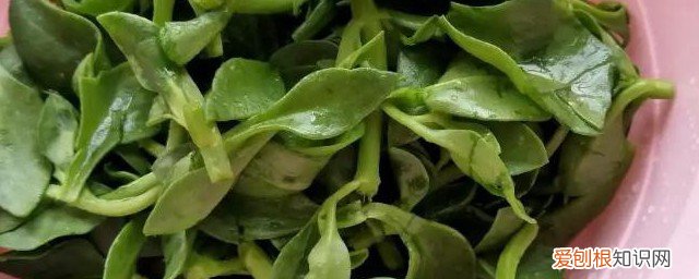 田七不能和什么一起吃? 田七不能和什么一起吃