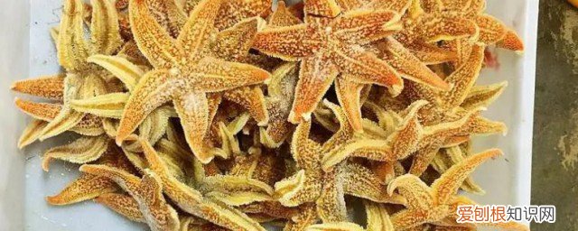 海星不能和什么一起吃? 海星不能和什么一起吃