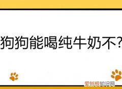 狗狗能不能喝纯牛奶吗 狗狗能喝纯牛奶不