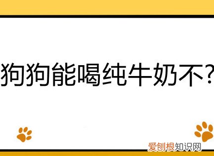 狗狗能不能喝纯牛奶吗 狗狗能喝纯牛奶不