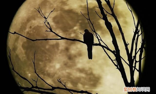 大漠孤烟直长河落日圆的鉴赏方法 大漠孤烟直长河落日圆的妙处