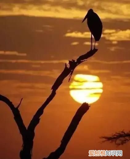 大漠孤烟直长河落日圆的鉴赏方法 大漠孤烟直长河落日圆的妙处