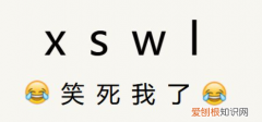 zqsg是什么意思啊，饭圈用语zzzq是什么意思