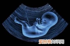 怀孕35周胎动多少正常 ，孕35周胎动怎么数