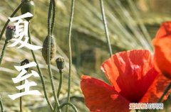 2023夏至后太阳直射点向什么方向移动