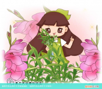 富贵竹怎么养叶子才绿色 富贵竹怎么养叶子才绿油油的