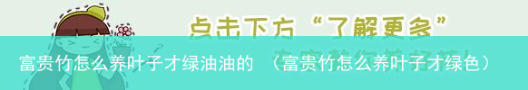 富贵竹怎么养叶子才绿色 富贵竹怎么养叶子才绿油油的