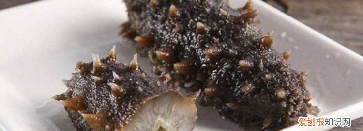 海参如何泡发 方法 请问海参如何泡发