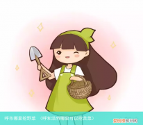 呼和浩特哪里可以挖苦菜 呼市哪里挖野菜