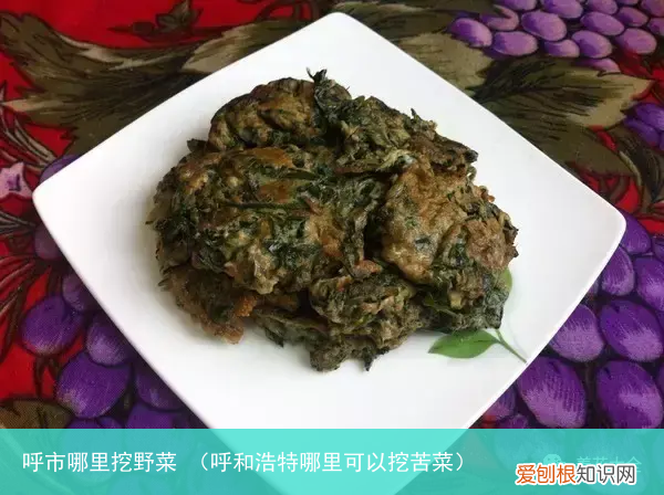 呼和浩特哪里可以挖苦菜 呼市哪里挖野菜