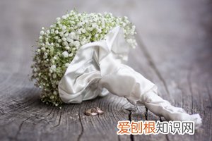 再婚家庭财产如何处理呢 ，再婚家庭财产如何处理呢女性