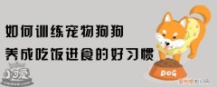 如何训练宠物狗狗养成吃饭进食的好习惯？，怎样训练狗狗吃饭