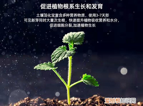 在生物修复过程中,利用植物对土壤进行修复 土壤活化剂是什么？它不仅可以改良土壤，还能促进根系的生长！