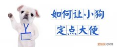 如何让小狗定点大便，如何让小狗定点大便拉出来