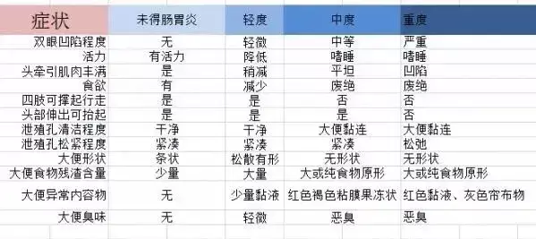 乌龟肠胃炎拉的屎 ，龟拉肚子吃什么药？