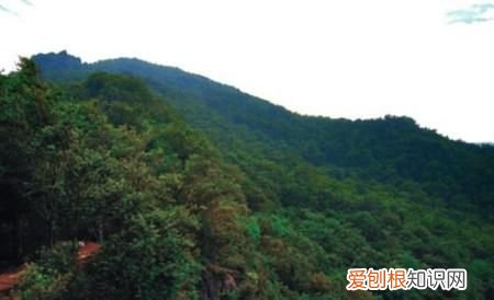 瓦岗山首领是谁 ,正史中的瓦岗寨?