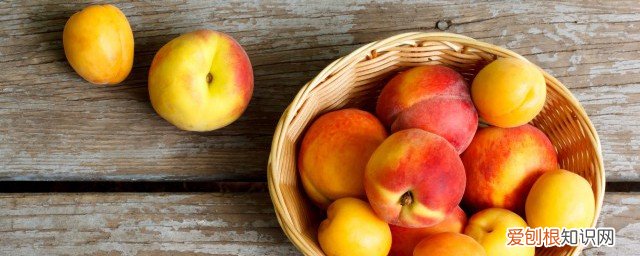 桃子跟什么不能吃 桃子不能和什么吃