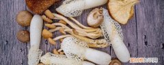 什么样的香菇不能吃 香菇不能和什么吃