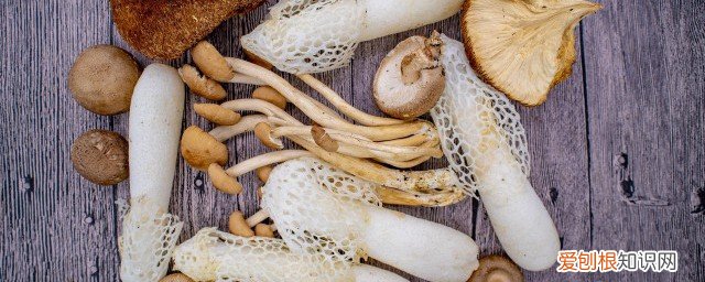 什么样的香菇不能吃 香菇不能和什么吃