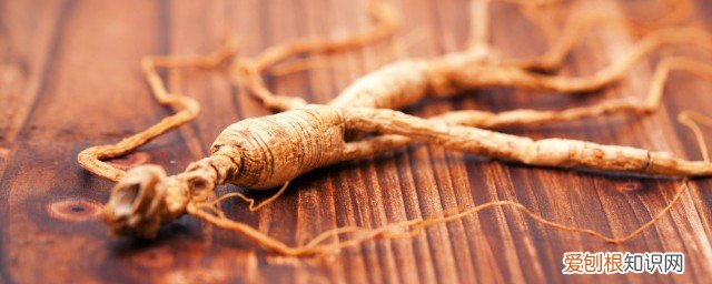 红参的功效是什么? 红参的功效是什么