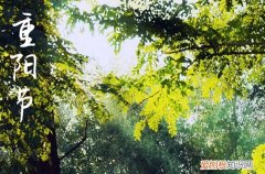 重阳节祝福语八个字左右 2023重阳节简短祝福语送老人